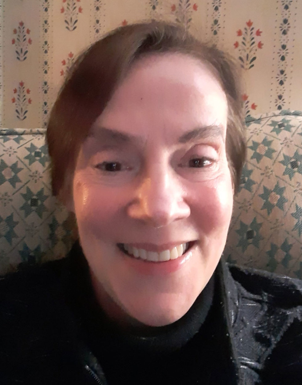 Online Therapist Albany NY Online Therapist Sessions Albany NY Online Psychotherapy Sessions